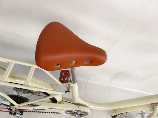 20 inch voor grote mand voor huisdier koets dame stadsfiets mode ontwerp