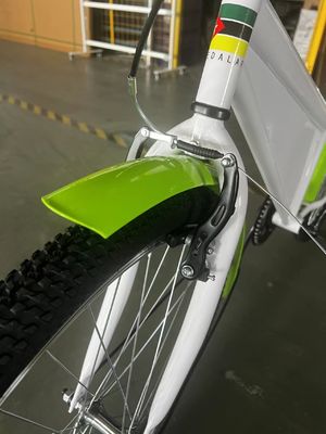 26 inch AD bord promotie fiets single speed stadsfiets reclame fiets
