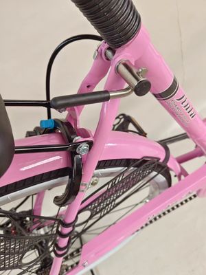 24 inch stadsfiets single speed stadsfiets schijfrem met dynamo licht