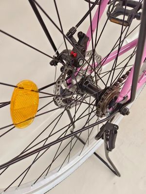 24 inch stadsfiets single speed stadsfiets schijfrem met dynamo licht
