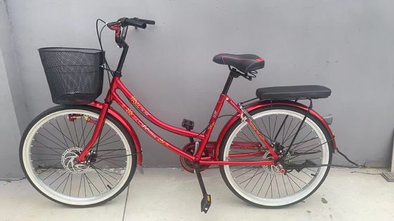 24 inch Vrouwenfiets met achterste rek Elegante dames fiets Bicicleta Urbana Femenina Klassieke stijl Vrouwenfiets
