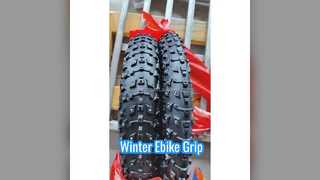 20 inch dikke fiets-sneeuwbanden voor EBIKES